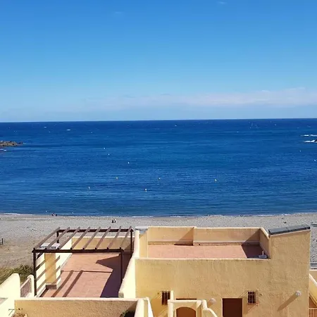 Avec Terrasse, Acces Plage, Parking. Animaux Acceptes - Fr-1-225c-5 *