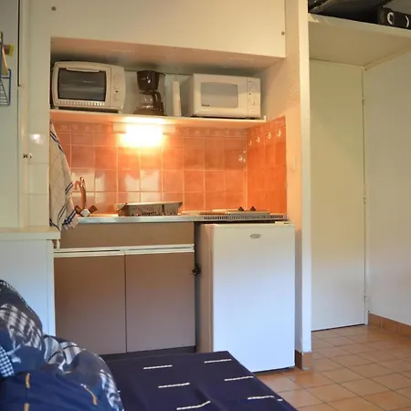 Apartmán Avec Terrasse, Acces Plage, Parking. Animaux Acceptes - Fr-1-225c-5